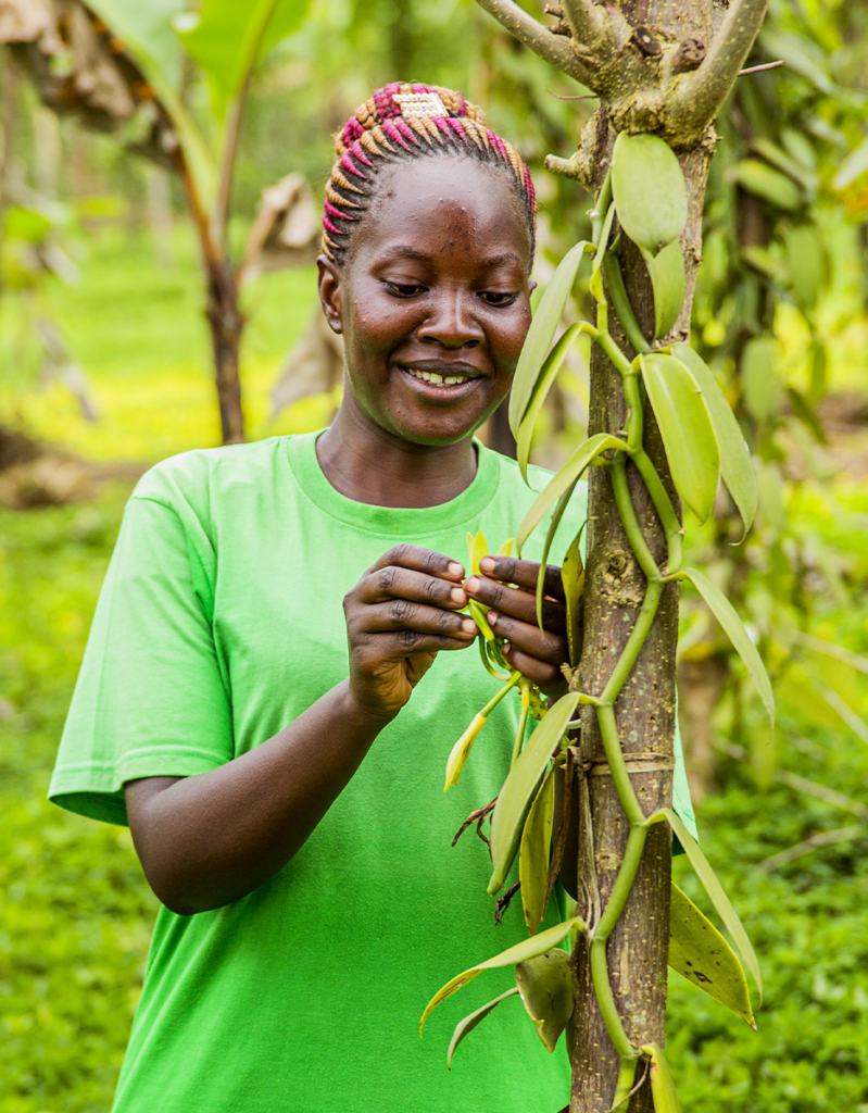 A Ugandan farmer and a vanilla plant.